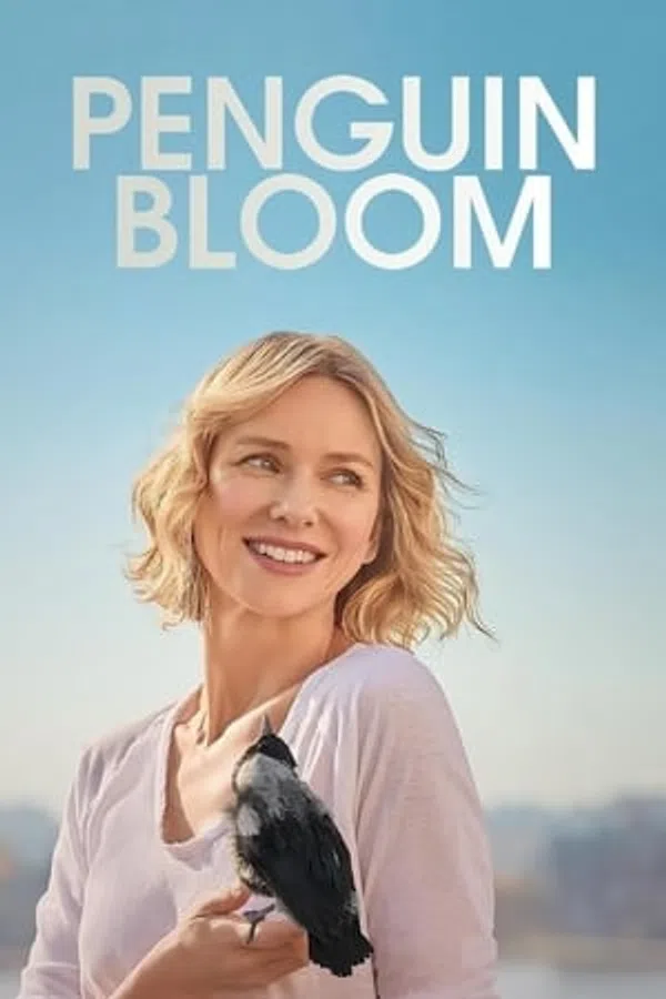 Xem Phim Cánh Cụt Nhà Bloom Vietsub HD Online