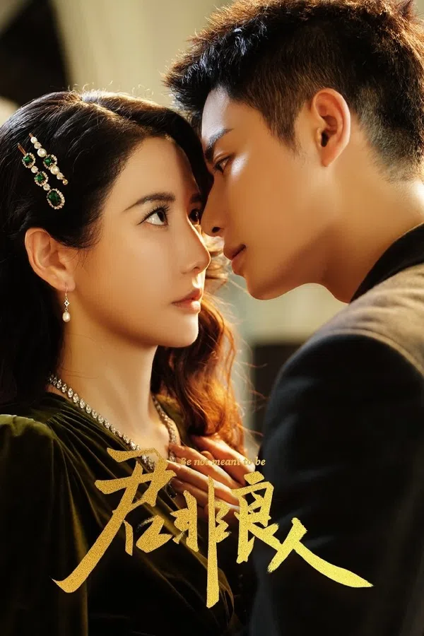 Poster phim Chàng Không Phải Người Tốt (Quân Phi Lương Nhân) trên SubNhanh
