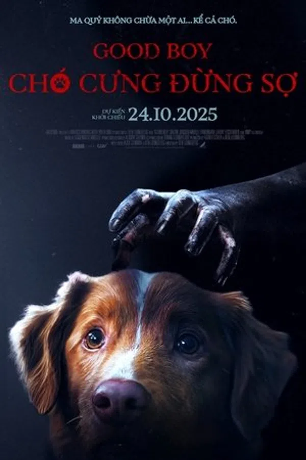 Xem Phim Chó Cưng Đừng Sợ Vietsub HD Online