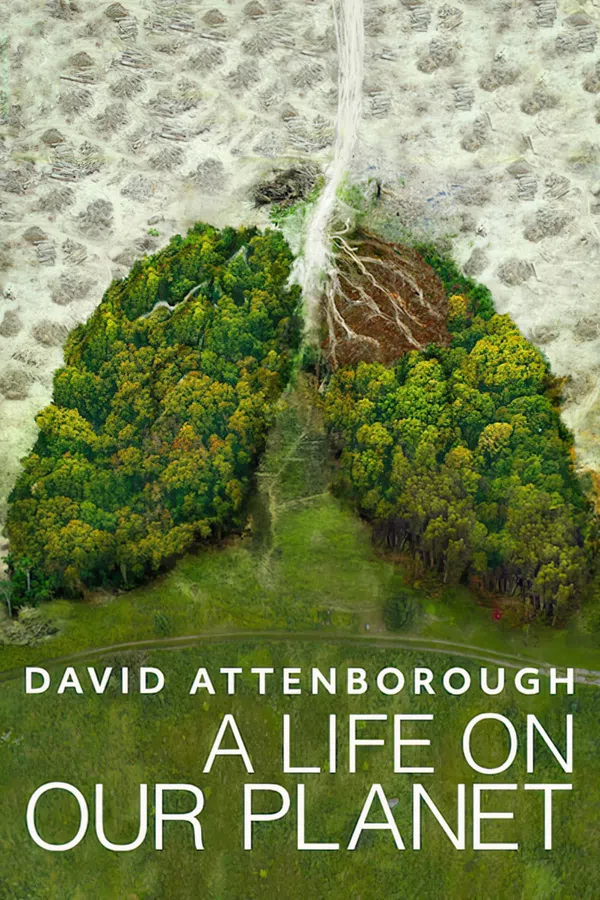Poster phim David Attenborough: Một Cuộc Đời Trên Trái Đất trên SubNhanh