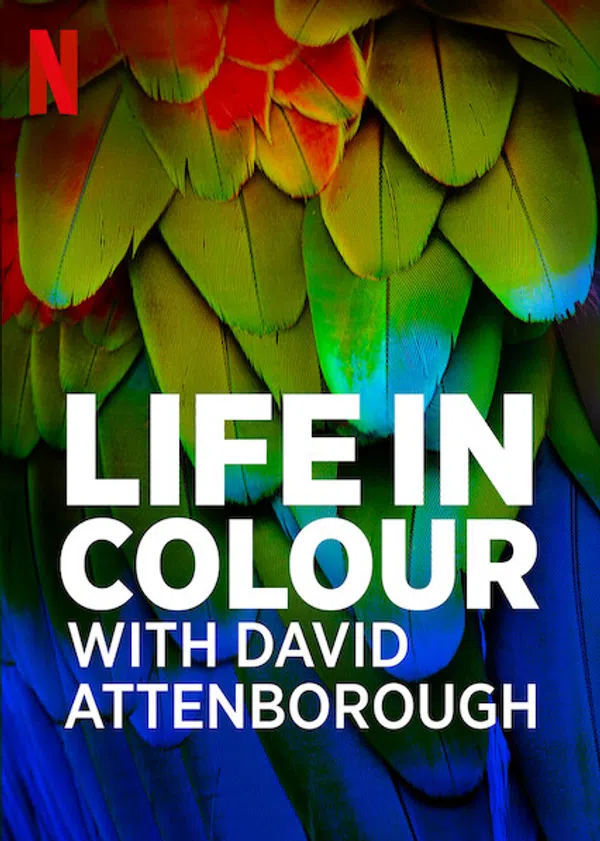 Poster phim David Attenborough: Sự Sống Đầy Màu Sắc trên SubNhanh