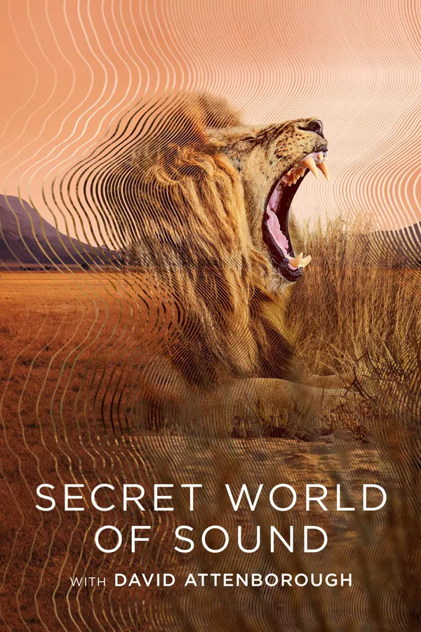 Poster phim David Attenborough: Thế giới bí mật của âm thanh trên SubNhanh