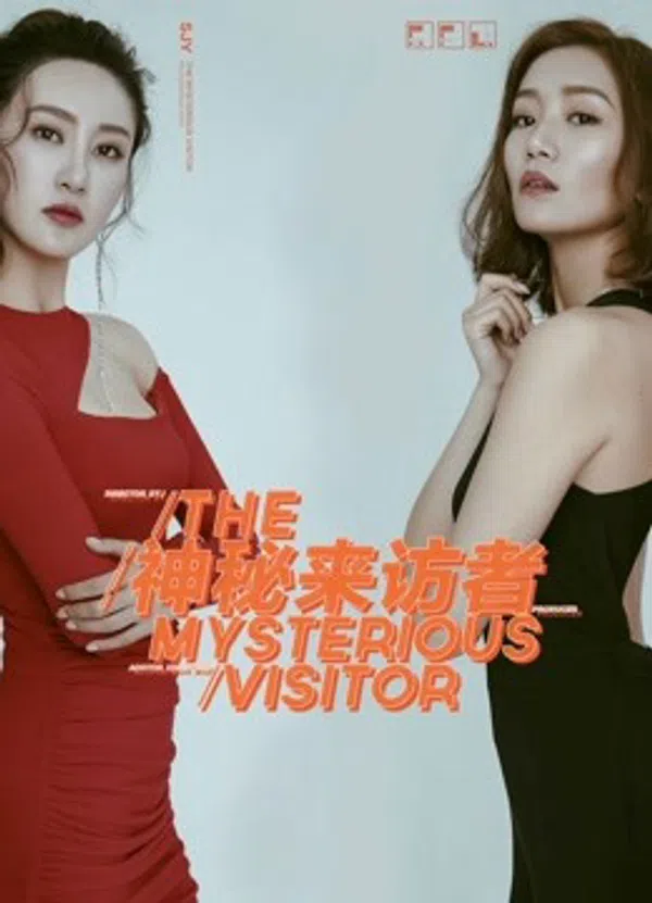 Xem Phim Khách bí ẩn Vietsub HD Online