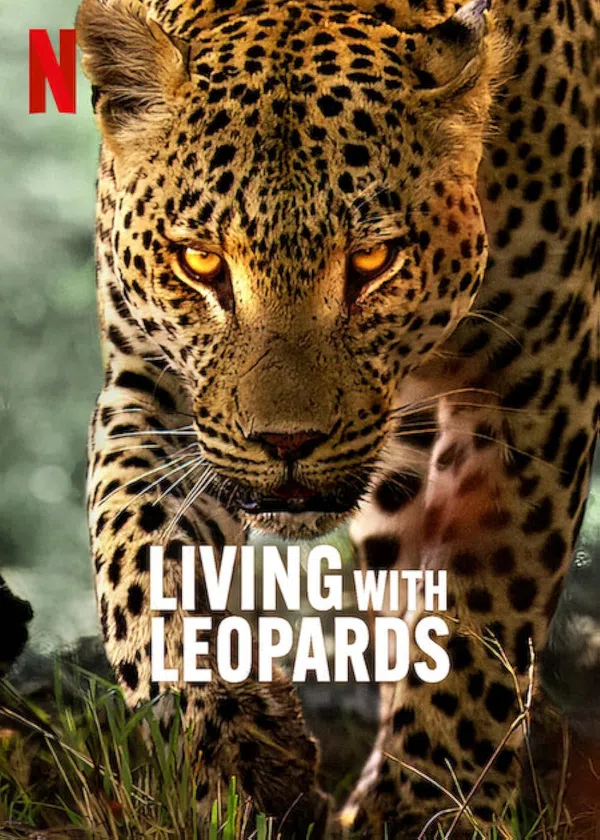 Xem Phim Living with Leopards Vietsub HD Online