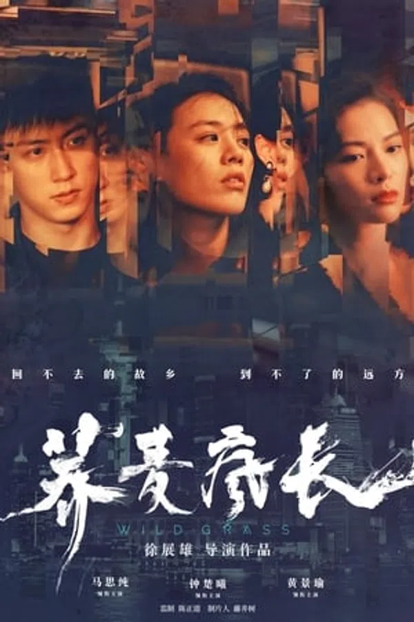 Poster phim Mùa Hoa Kiều Mạch trên SubNhanh