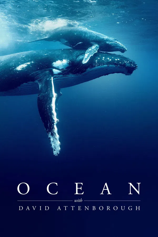 Poster phim Ocean with David Attenborough trên SubNhanh