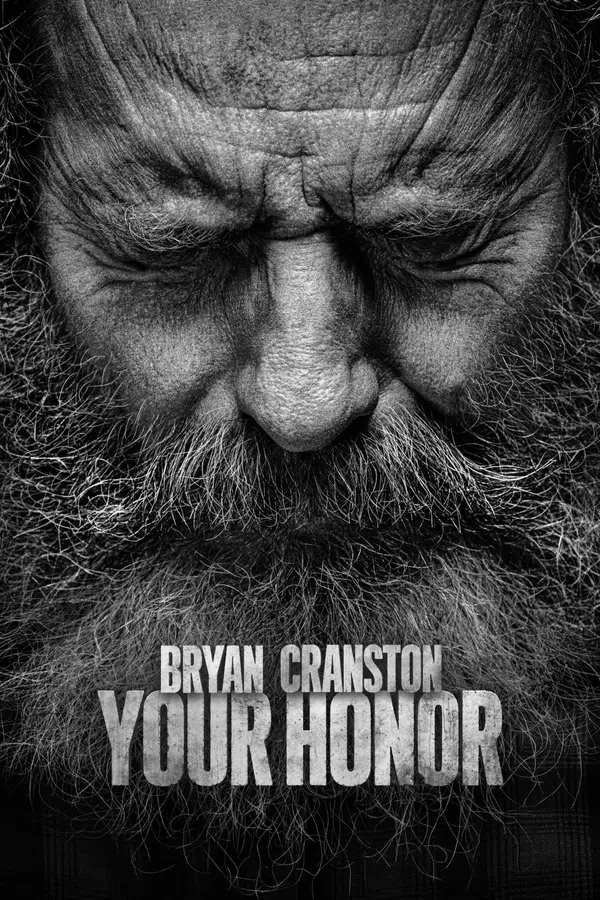 Xem Phim Your Honor (Phần 2) Vietsub HD Online